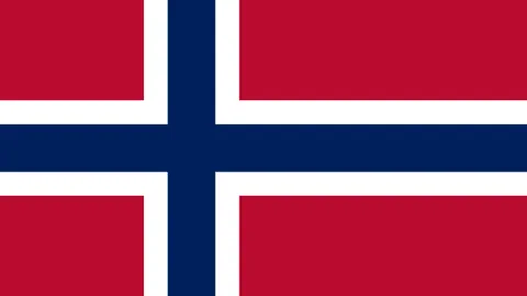 “刘梦婷在亚冬会自由式滑雪女子坡面障碍技巧赛中勇夺金牌”